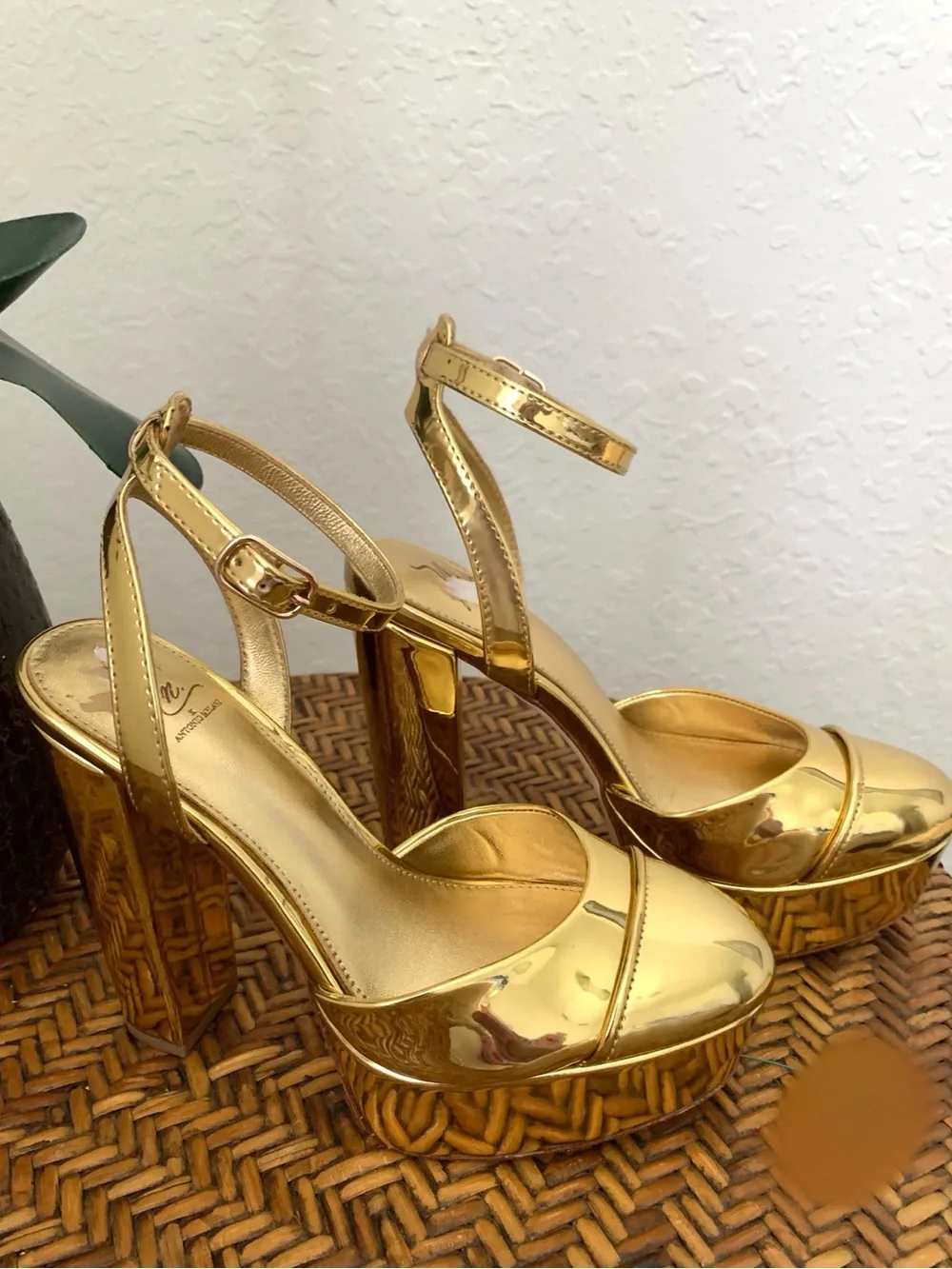 Antonio Melani and the Nat Note Pia Gold Mirror Metallic Platform Heel Pumps